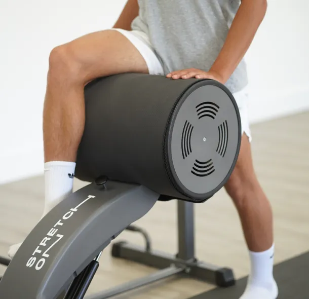 DSC06403 1 638ab36a Sobolev Fitness Device: Innovation for Spine and Joint Health